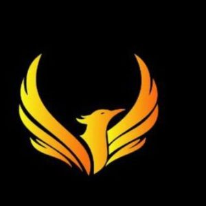 Phoenix Crypto VC